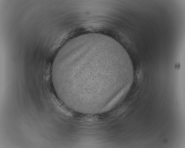 X0000110911012200907021430