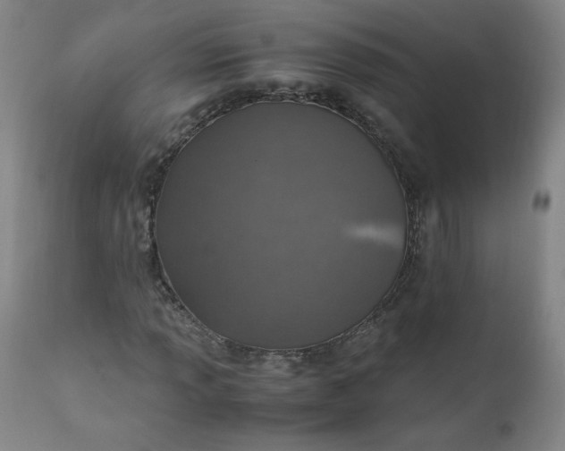 X0000110911013200907021430