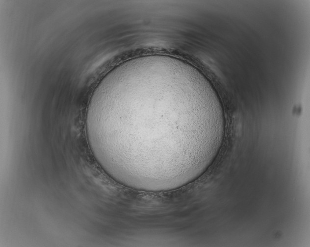 X0000110911015200907021430