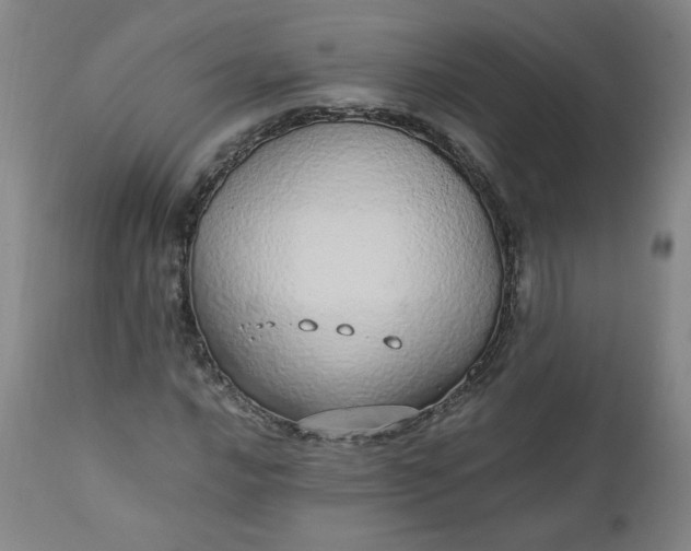 X0000110911016200907021430