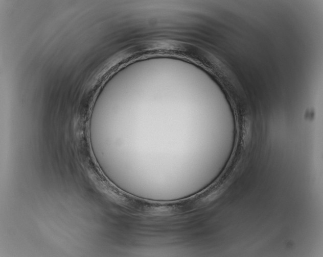 X0000110911017200907021430