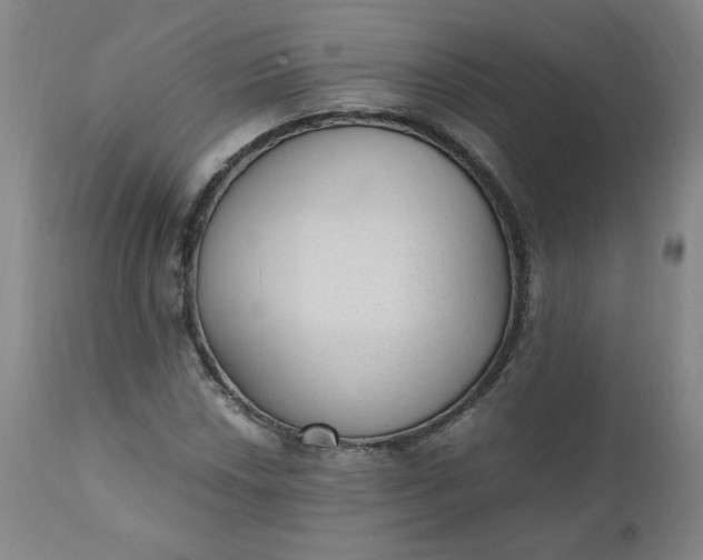 X0000110911018200907021430