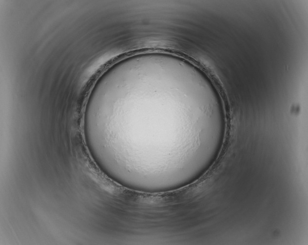 X0000110911019200907021430