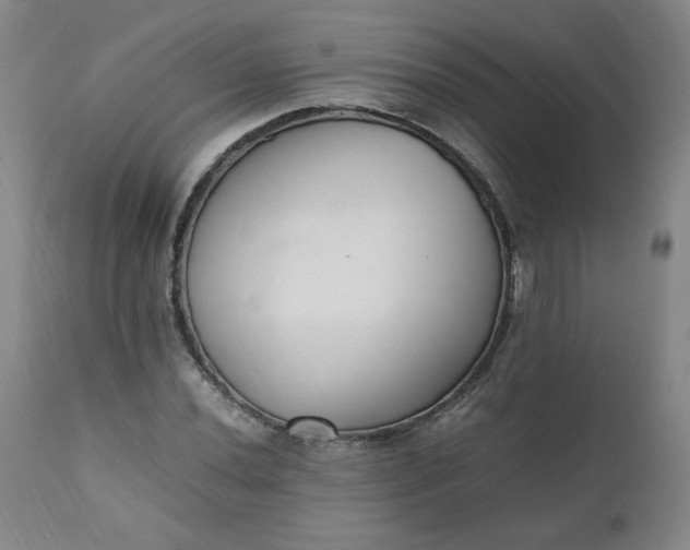 X0000110911020200907021430