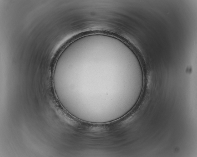 X0000110911021200907021430