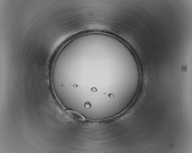 X0000110911022200907021430