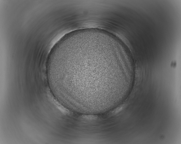 X0000110911023200907021430