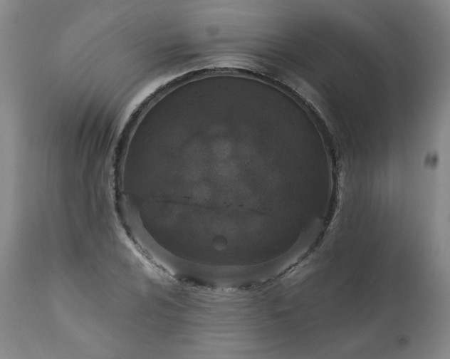 X0000110911024200907021430