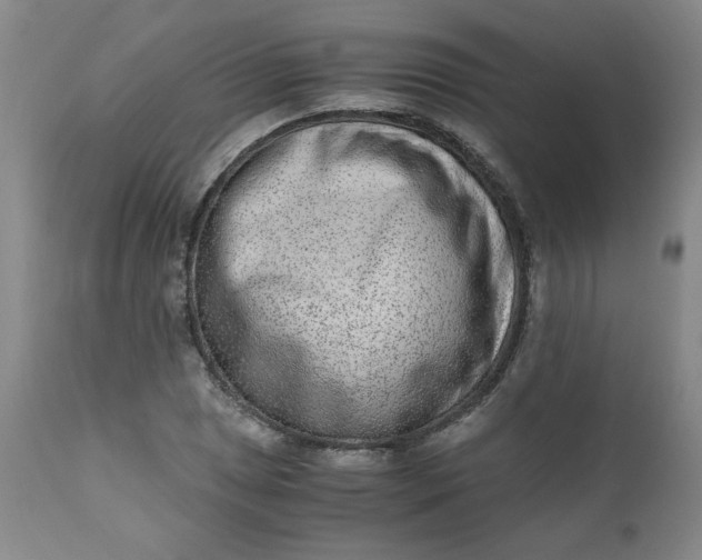 X0000110911025200907021430