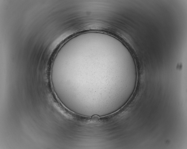 X0000110911026200907021430