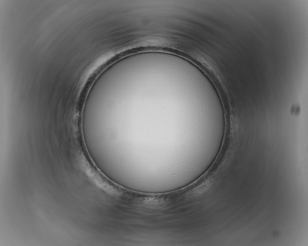 X0000110911029200907021430