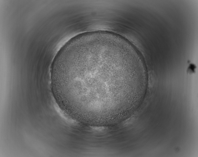 X0000110911031200907021430