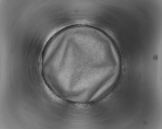 X0000110911032200907021430