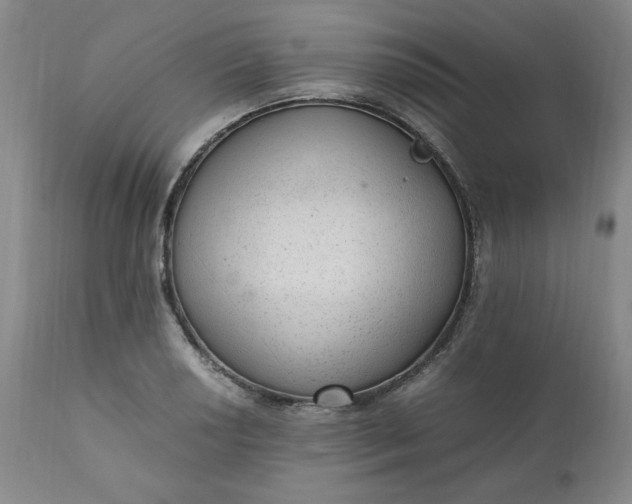 X0000110911034200907021430