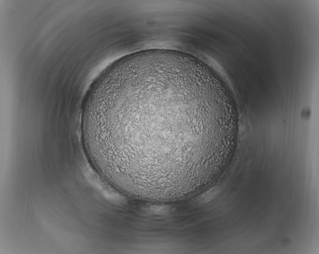 X0000110911035200907021430