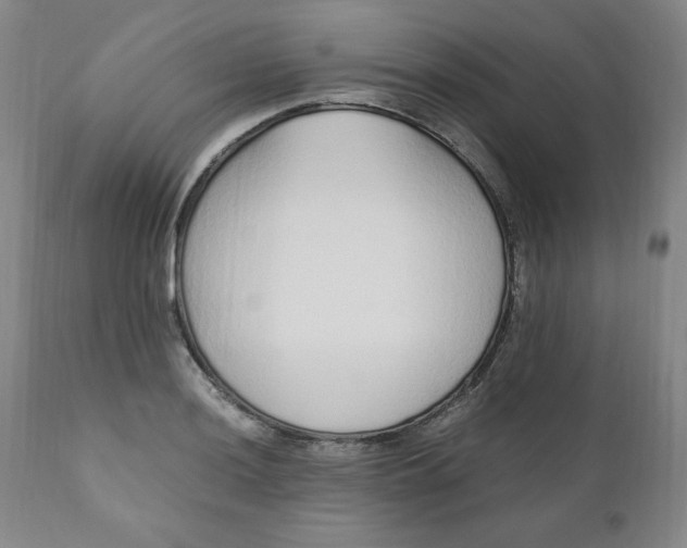 X0000110911036200907021430