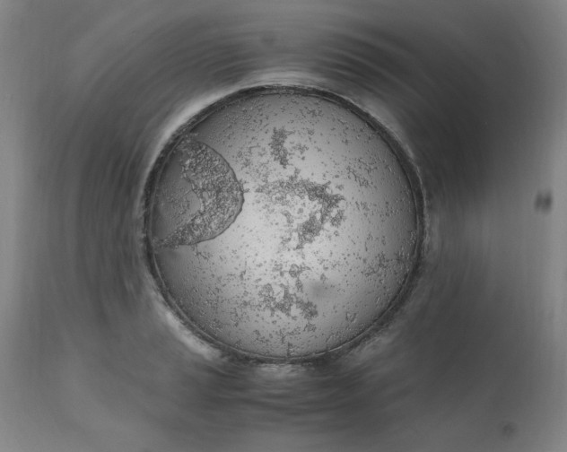 X0000110911037200907021430