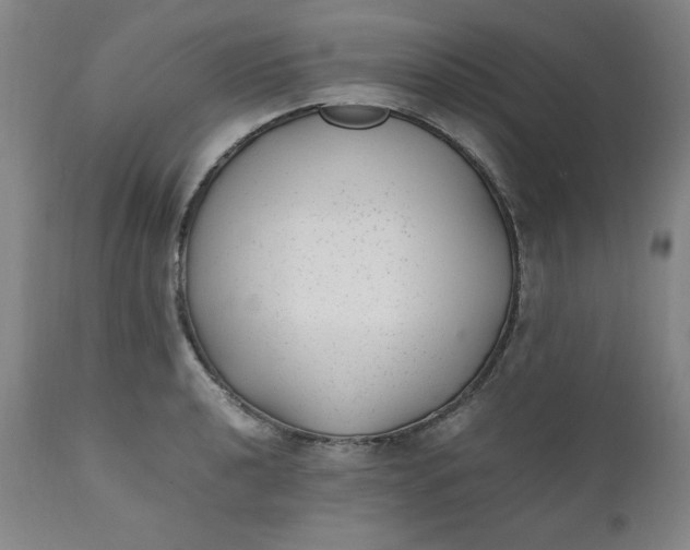 X0000110911040200907021430