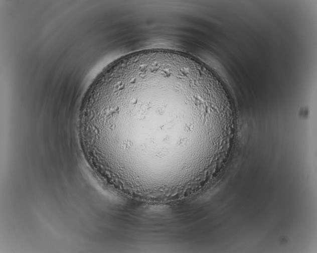 X0000110911043200907021430