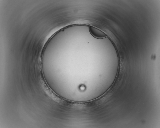 X0000110911044200907021430