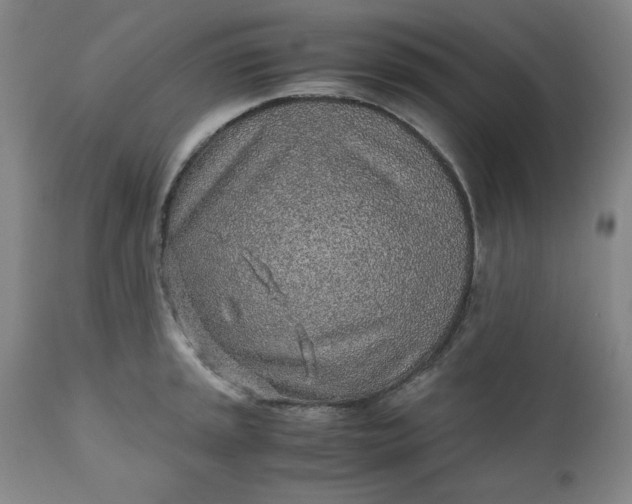 X0000110911045200907021430