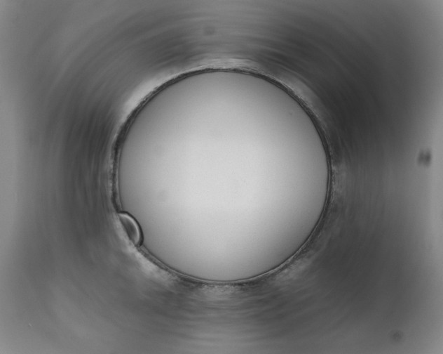 X0000110911046200907021430