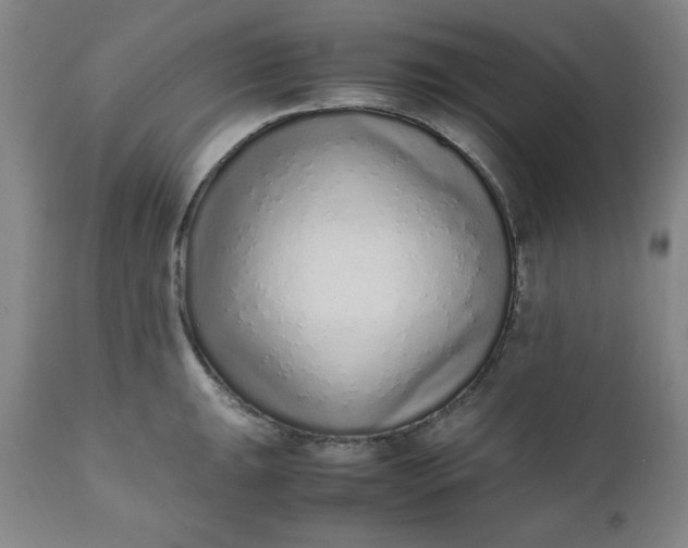 X0000110911047200907021430