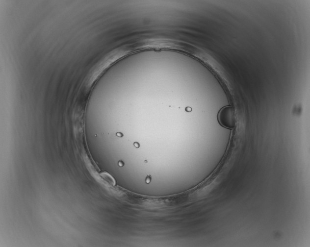 X0000110911049200907021430