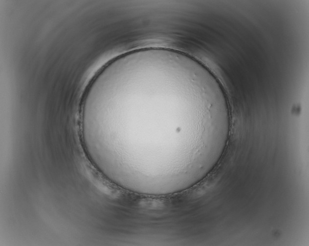 X0000110911051200907021430