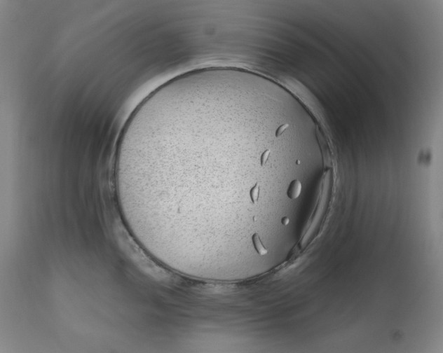 X0000110911052200907021430