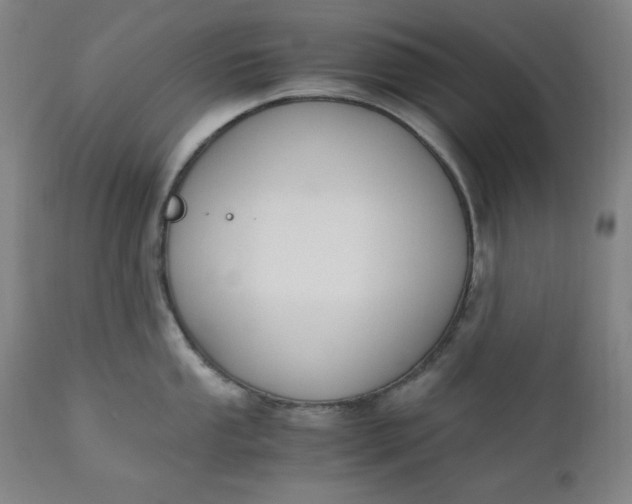 X0000110911053200907021430