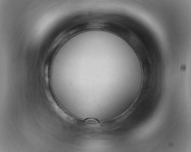 X0000110911054200907021430