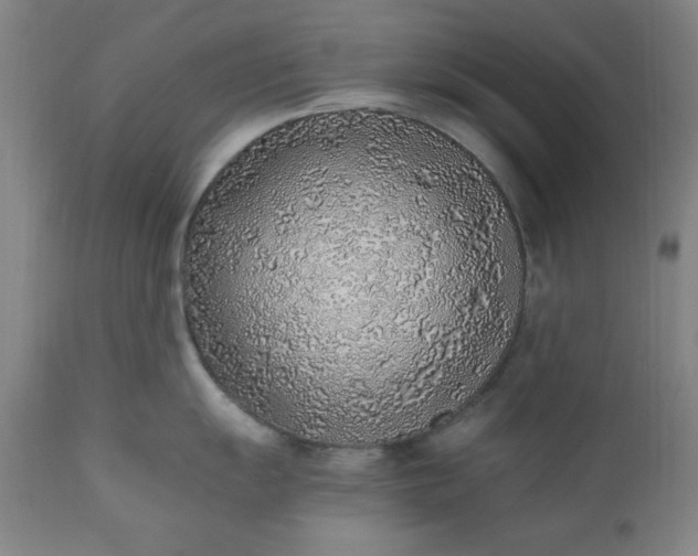 X0000110911055200907021430