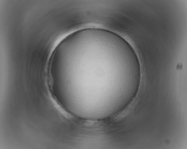 X0000110911056200907021430