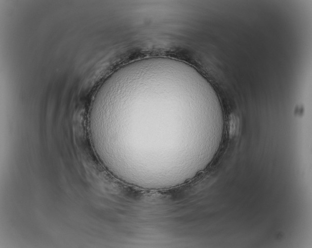 X0000110911059200907021430