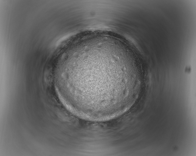 X0000110911063200907021429