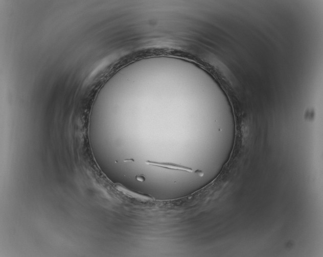 X0000110911064200907021429