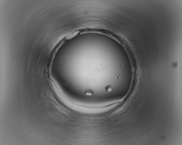 X0000110911065200907021429