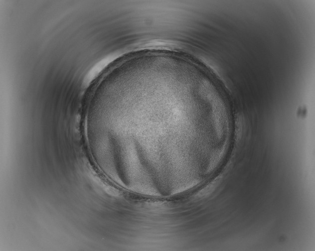 X0000110911066200907021429