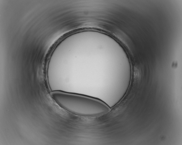 X0000110911068200907021429