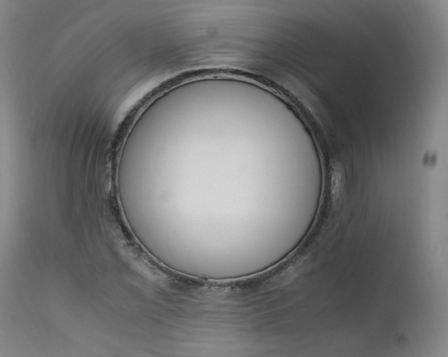 X0000110911069200907021429