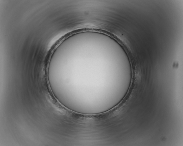 X0000110911070200907021429