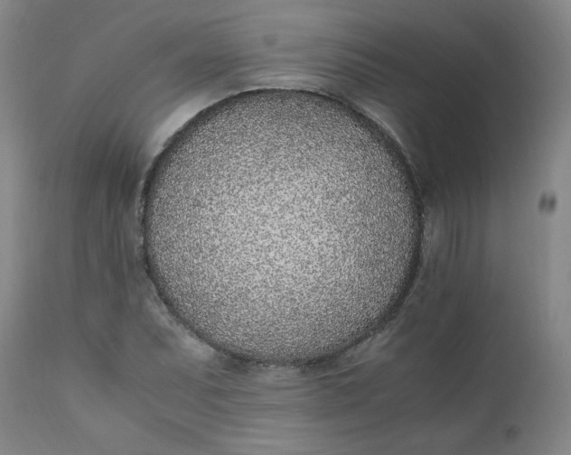 X0000110911071200907021429