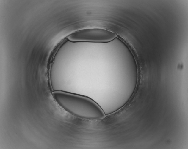 X0000110911072200907021429