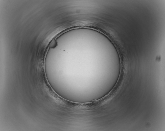 X0000110911073200907021429