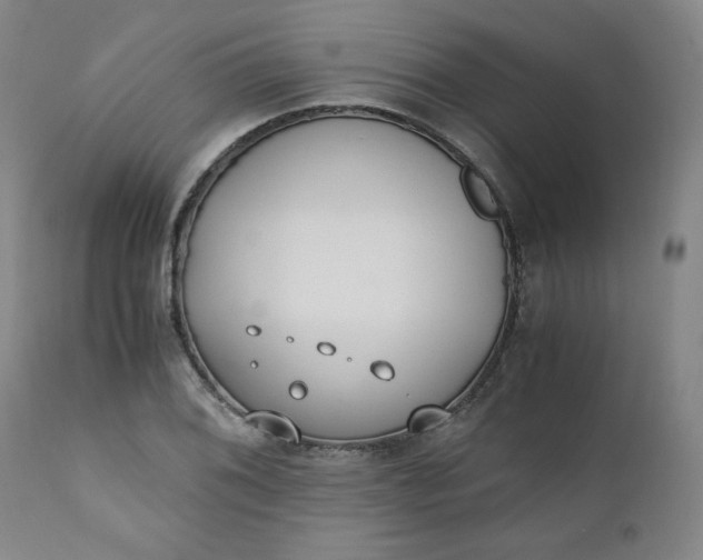 X0000110911076200907021429