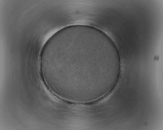 X0000110911077200907021429