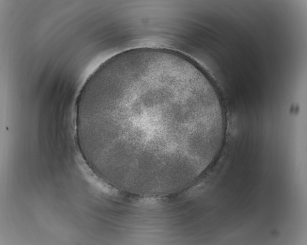 X0000110911078200907021429