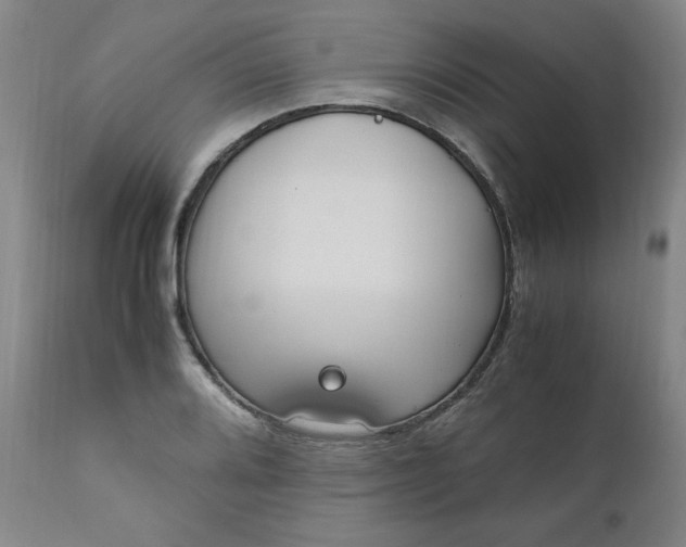 X0000110911080200907021429