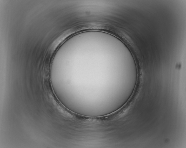 X0000110911081200907021429